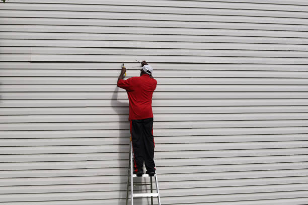 Affordable Siding Repair and Maintenance Services in Elk Grove, CA